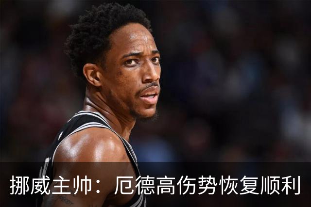挪威主帅：厄德高伤势恢复顺利